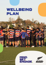 MSE Wellbeing Plan