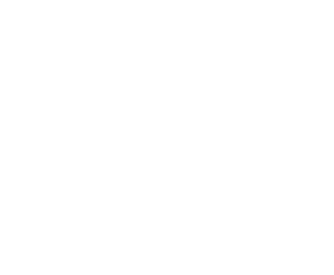 NZR Logo Reverse